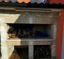Zwei solide Steinvillen mit Swimmingpool zum Verkauf in Višnjan, Porec - foto 11