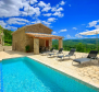 Two stone properties with a swimming pool in Oprtalj with a view of Motovun - pic 6