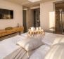 Beautiful family villa with wellness and heated swimming pool on Cres island - pic 16