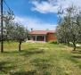 Lovely villa under construction in Galižana, Vodnjan - pic 8