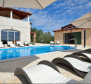 Fabuleuse villa avec piscine à Višnjan, région de Porec - pic 2