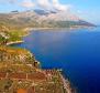 Combination of building and agro land on Peljesac- 1st line to the sea 