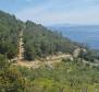 Terrain agricole en bord de mer avec possibilité de construction sur l'île de Hvar - pic 3