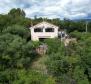 House within greenery in Dobrinj, Krk island - pic 9