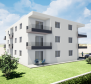 Apartments in Zambratija, Umag, only 200 meters from the sea! - pic 7