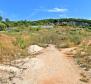 Investment land in Rovinj with sea views - pic 4