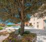 Красивая роскошная вилла с оливковой рощей площадью 5800 кв.м. в районе Водняна - фото 42