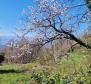 Baugrundstück mit Meerblick in Lovran, Dobrec - foto 9