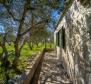 Detached house in Starigrad area on Hvar island with an olive field  - pic 16