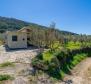 Detached house in Starigrad area on Hvar island with an olive field  - pic 18