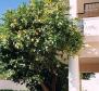 Apartment with a balcony overlooking the sea in Podgora only 100 meters from the sea - pic 7
