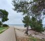 Einzigartiges Projekt am wunderschönen Kiesstrand am Stadtrand von Pula - foto 6