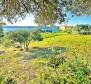Villa mere 50 meters from the sea in Supetarska Draga on Rab island - pic 6