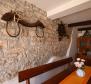 Stone house with tavern in Pazin - pic 47