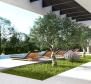 Modern villa with swimming pool in Žminj region - pic 19