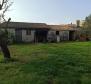 House for sale in Valdebek, Pula on 1604 sq.m. of land - pic 8