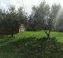 House for sale in Valdebek, Pula on 1604 sq.m. of land - pic 16