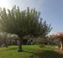 House for sale in Valdebek, Pula on 1604 sq.m. of land - pic 17