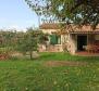 House for sale in Valdebek, Pula on 1604 sq.m. of land - pic 36