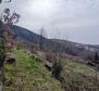 Gorgeous estate in Opatija, Poljane, with 2 outbuildings, 5500 m2 of land, panoramic view! - pic 8