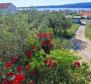 House of 5 apartments in Barbat na Rabu, Rab, 300m from the sea - pic 2