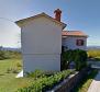 Samostatně stojící dům v oblasti Motovun s panoramatickým výhledem - pic 4