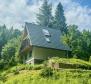 Une belle propriété pour des vacances dans la nature de Kupska Dolina, Gorski Kotar - pic 17