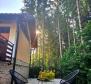 A wonderful holiday home with a well-established rental business in Mrkopalj - pic 5