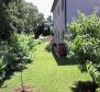 House of 3 apartments in Umag for sale, cca. 2,5 km from the sea - pic 2