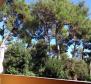 Apartment house, 200 m from the sea, in beautiful Rovinj - pic 39
