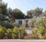 Construction land with sea views just 500 meters from the sea on Solta island! - pic 12