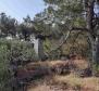 Construction land with sea views just 500 meters from the sea on Solta island! - pic 14