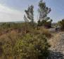 Construction land with sea views just 500 meters from the sea on Solta island! - pic 20