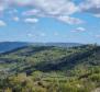 Fantastic estate in Buzet with 4 residential buildings and one business-residential building, open view of nature and the lake - pic 8