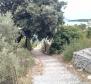 Wunderschönes Grundstück mit offenem Meerblick auf der Insel Korcula - foto 7