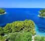 Nádherný pozemek v oblasti Vela Luka na ostrově Korčula, 60 m od moře - pic 3