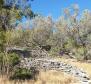 Terrain constructible sur l'île de Korcula à Vela Luka -1ère rangée de la mer - pic 10