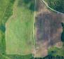 A large property with a well-established business! 40 hectares of land in Blatusa! - pic 5