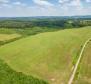 Une grande propriété avec un commerce bien établi ! 40 hectares de terrain à Blatusa ! - pic 6