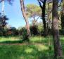 Unique 5***** residence with swimming pool in Rovinj with postcard views, 1st row to the sea across the park! - pic 18