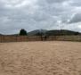 A beautiful property with a horse ranch in Skare, Otocac - pic 37