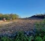 Land plot with sea views in Rabac, Labin - pic 5