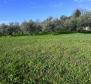 Land in Medulin, 400 m from the sea, ideal for lux villa - pic 2