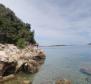 Größerer Teil einer grünen Insel im wunderschönen Kornati-Archipel - foto 2