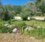 Land plot with sea views in Drenje, Raša - pic 5