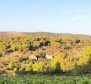 Agro pozemek o rozloze 8 600 m2 s 3 000 hrozny vinné révy (plavac mali) a 50 olivovníky 