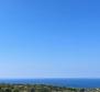 Agro land of 23.450 sqm with 6.000 grapes, stone house and sea view on Vis island 