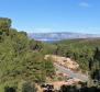 Agricultural land plot 24.000 sqm with a 60 sqm stone object in Jelsa area on Hvar island - pic 7