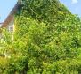 Stone house in Valbandon, Fažana just 1,5 km from the sea - pic 8