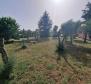 House with garage and large garden in Poreč, for fair price - pic 6
